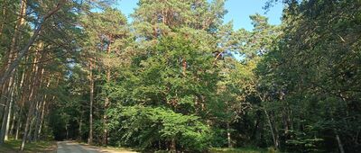 Odejście ścieżki przyrodniczej ↔ Odejście ścieżki przyrodniczej