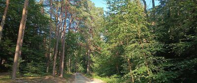 Odejście ścieżki przyrodniczej