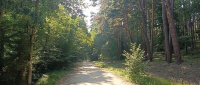 Odejście ścieżki przyrodniczej ↔ Odejście ścieżki przyrodniczej