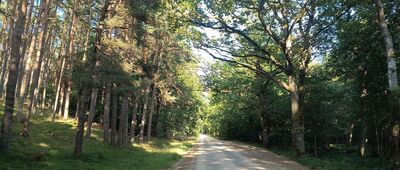 Odejście ścieżki przyrodniczej