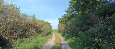 Granica parku narodowego ↔ Dojście do wieży widokowej nad jeziorem Gardno