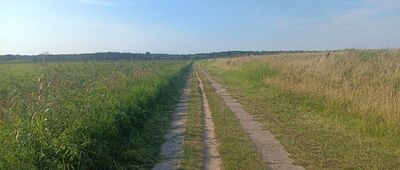 Dojście do wieży widokowej nad jeziorem Gardno ↔ Przepompownia Gardno VI