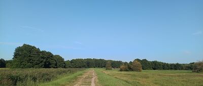 Gać, most na rzece Łebie ↔ Gać, pomost widokowy