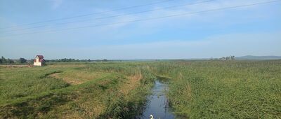 Przepompownia Gardno VI ↔ Rowy, ul. Łąkowa, granica parku narodowego