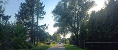 Izbica ↔ Gać, most na rzece Łebie