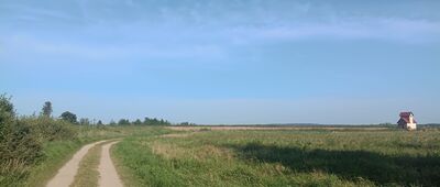 Rowy, ul. Łąkowa, granica parku narodowego