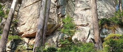 Skalne Grzyby, pod Pielgrzymem ↔ Skalne Grzyby, Pielgrzym