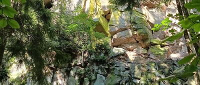 Skalne Grzyby, pod Pielgrzymem ↔ Skalne Wrota, odejście szlaku niebieskiego