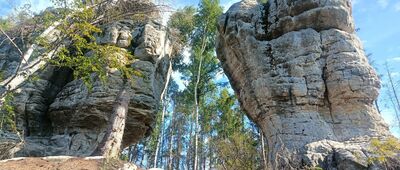 Skalne Grzyby, Rogacz ↔ Skalne Grzyby, Dwa Borowiki