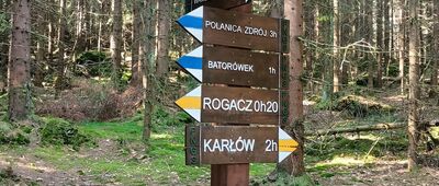 Skalne Grzyby, skrzyżowanie szlaków niebieski, żółty