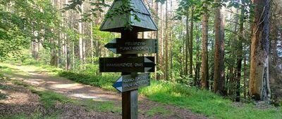 Skalne Grzyby, pod Pielgrzymem