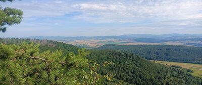 Skalne Grzyby, Pielgrzym