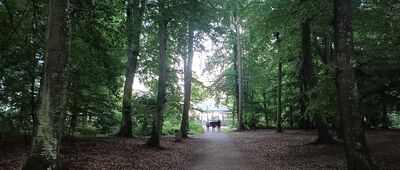 Most nad wąwozem ↔ Rozejście szlaków