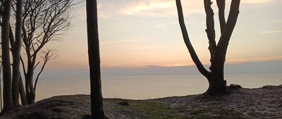 Most nad wąwozem ↔ Rozejście szlaków