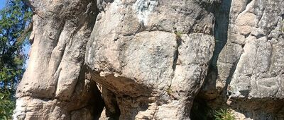 Odejście do skały Grzyby Bliźniaki ↔ Skalne Grzyby, skrzyżowanie szlaków niebieski, żółty