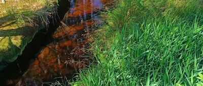 Pod Dzikiem ↔ Praski Trakt