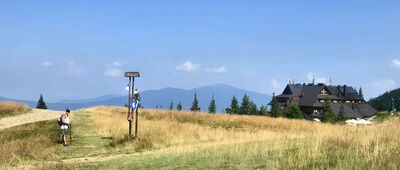 Hala Miziowa, skrzyżowanie szlaków