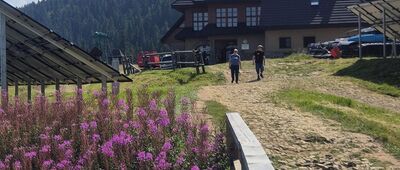 Hala Miziowa, skrzyżowanie szlaków