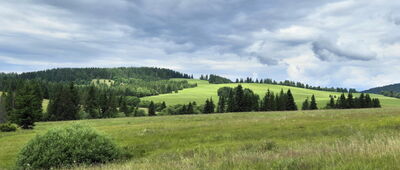 Veľké Borové ↔ Svorad