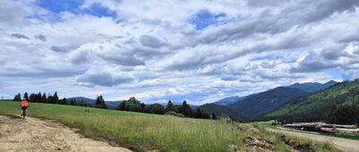 Veľké Borové ↔ Svorad