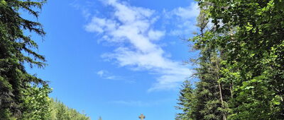 Dolina Borovianky, rázc. ↔ Oblazy, rázc.