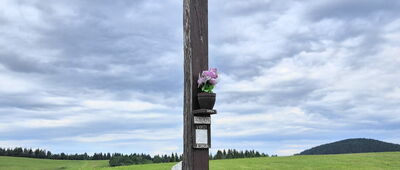 Veľké Borové ↔ Svorad