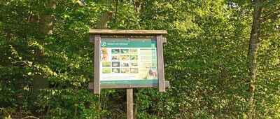 Rozejście szlaków ↔ Rozejście szlaków [Tablica dydaktyczna]