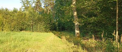 Rozejście szlaków ↔ Rozejście szlaków [Widok na przebieg ścieżki]