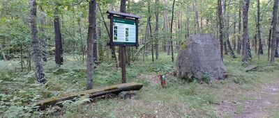 Rozejście szlaków ↔ Skrzyżowanie szlaków [Tablica dydaktyczna, pomnik przyrody, miejsce odpoczynku i miejsce historyczne w jednymi]