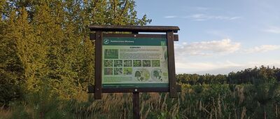 Rozejście szlaków ↔ Rozejście szlaków [Tablica dydaktyczna]