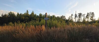 Rozejście szlaków [Tabliczka z kierunkiem marszu do pałacu w Adampolu (uwaga: tabliczka PTTK)]