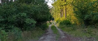 Rozejście szlaków [Widok na przebieg ścieżki]