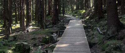 Trzecia Droga ↔ Rozdroże pod Jaworem