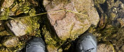 Rozdroże pod Jaworem