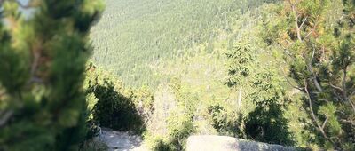 Rozdroże pod Śmielcem ↔ Czarna Przełęcz