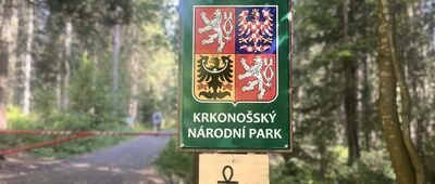 Řopík Pod Dívčí strání