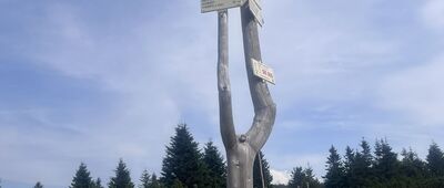 Růženčina zahrádka