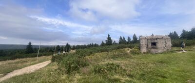 Růženčina zahrádka