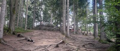 Szklarska Poręba, ul. Orla Skała ↔ Pod Chybotkiem