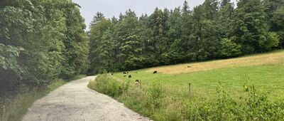 Rozejście szlaków ↔ Przełęcz Sokołowska