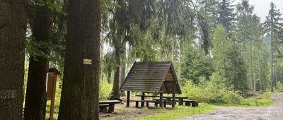 Odejście ścieżki do grobu Friedricha Wrede ↔ Przełęcz Sokołowska