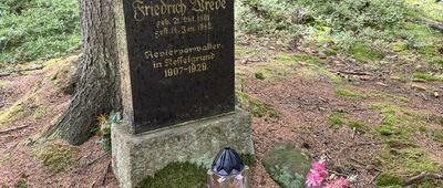 Grób Friedricha Wrede