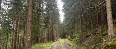 Droga Stanisława ↔ Droga Stanisława