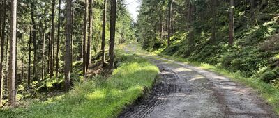 Pod Łomnicką Równią ↔ Odejście ścieżki do grobu Friedricha Wrede