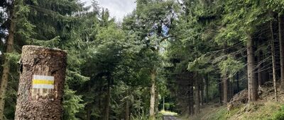 Barć ↔ Pod Łomnicką Równią