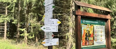 Huta, ruiny Fortu Wilhelma