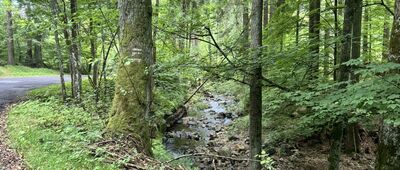 Młoty ↔ Wójtowska Równina