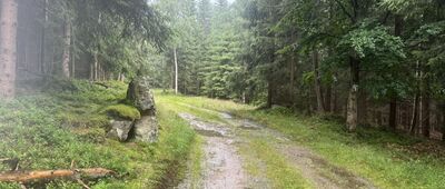 Autostrada Sudecka, rozejście szlaków ↔ Spalona Dolna