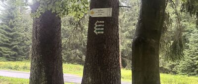 Autostrada Sudecka, rozejście szlaków