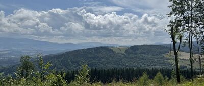 Pod Jagodną ↔ Jagodna